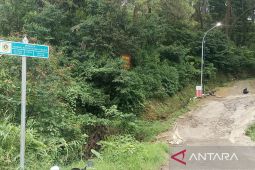 Pemkab Cianjur targetkan Jalur Puncak II dapat dilalui tahun depan