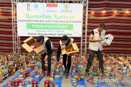 Baznas RI salurkan 33.917 paket pangan dari warga RI untuk Palestina