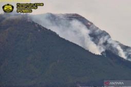 Vegetasi di sekitar kawah Gunung Iya di Ende NTT terbakar sejak 8 Maret 202