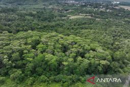 PTAR terapkan rehabilitasi lahan progresif di Tambang Emas Martabe