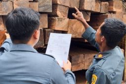 Kemenhut tangkap pemilik ratusan batang kayu ilegal