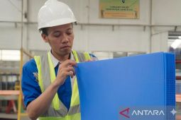 Permintaan produk ALVAboard meningkat saat mudik Lebaran