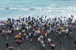 Upacara Melasti di Pantai Watu Pecak Lumajang