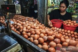 PIHPS: Harga telur ayam Rp33.050/kg, bawang merah Rp44.100/kg