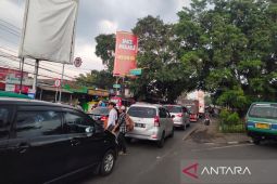Waspada! Pohon Tumbang di Nagreg, Pemudik Motor Dilarang Jalan Malam