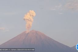 Gunung Semeru 11 kali erupsi dengan tinggi letusan hingga 1.200 meter