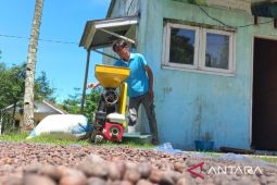 Ekosistem kopi berkelanjutan tumbuh di lereng Gunung Salak