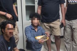 Polda Malut gagalkan peredaran ganja 545 gram di Halteng