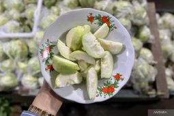 Jambu kristal jadi pilihan pemudik untuk perjalanan di Jalur Pansela