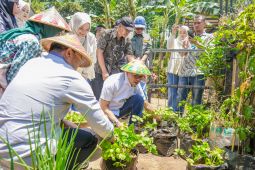 Top! Bupati Bandung & BGN Panen Sayur, Siap Suplai Makan Bergizi Gratis