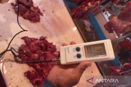 Pemkot Bengkulu pastikan daging di pasar aman dikonsumsi