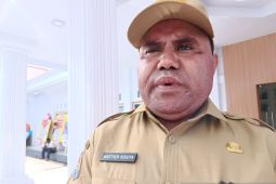 Pemprov Papeg dorong festival budaya bersinergi di delapan kabupaten