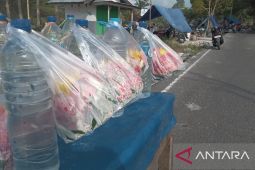 Penjual bunga tabur di Belitung raup untung pada Idul Fitri 1447 Hijriah