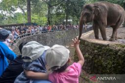 80.790 wisatawan kunjungi Ragunan pada H+2 Lebaran