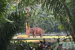 Taman Margasatwa Ragunan mulai dipadati pengunjung sedari pagi