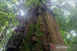 Kawasan konservasi TNK Kaltim dibuka selama libur Lebaran