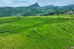 Sukamakmur jadi prioritas pusat pertumbuhan ekonomi baru Bogor Timur