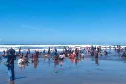 Jalur Selatan Cianjur Membludak! 7.000 Wisatawan Serbu Pantai di H+4