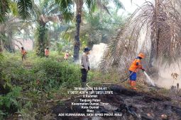 BPBDPK Riau kerahkan helikopter bom air padamkan karhutla di Dumai