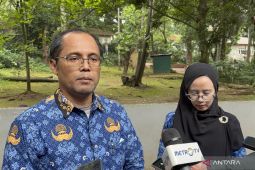 Dua Anak Harimau Benggala di Bandung Zoo Mati Akibat Virus Panleukopenia