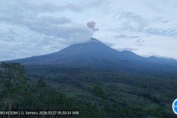 Semeru alami dua kali erupsi dengan tinggi letusan hingga 1.000 meter