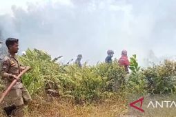 Satpol PP Bangka gandeng Pemdes awasi kawasan hutan