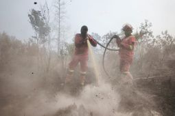 BNPB: Karhutla di Riau meluas jadi 3.456 hektare