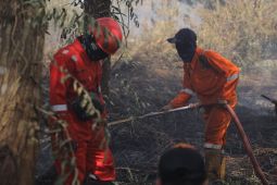 Pemkot Pontianak gencarkan pencegahan Karhutla