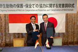 RI-Jepang perkuat diplomasi hijau melalui kerja sama konservasi komodo