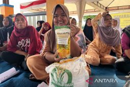 Bapanas sebut bantuan beras dan minyak goreng bentuk kehadiran negara