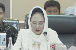 Komisi XIII: RUU PSDK memperluas objek pelindungan hingga memperkuat LPSK