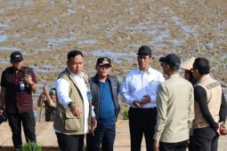 Distan Aceh Utara intensifkan sawah tak terdampak bencana