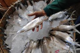 Inflasi Maret 2026 turun ke angka 0,41 persen