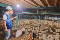 PLN siap jaga keandalan dan kualitas layanan di tengah dinamika global