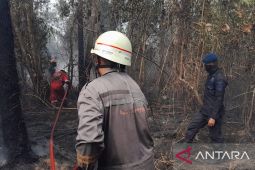 Karhutla merebak di Kepri, polisi selidiki penyebabnya