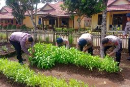 Kompi 2 Batalyon C Brimob Sumut Ppanen kangkung dan selada wujud ketahanan pangan