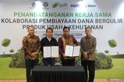 Akselerasi transisi ekonomi hijau melalui kolaborasi pembiayaan inklusif