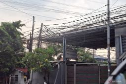 PLN Watch sebut perusahaan internet tidak boleh pakai tiang PLN tanpa izin