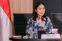 Wamenpar: pelemahan rupiah jadi peluang tarik wisatawan ke Indonesia