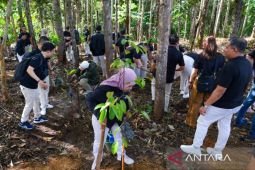Otorita ajak masyarakat umum tinggalkan jejak hijau di Miniatur Hutan Hujan Tropis IKN