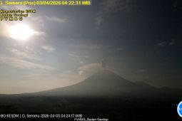 Semeru alami empat kali erupsi dengan tinggi letusan hingga 1.200 meter