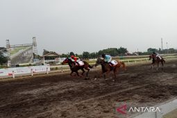 Sebanyak 138 kuda ikuti kejuaraan pacuan kuda di Stadion SSA Bantul