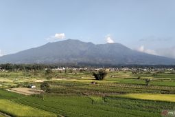Gunung Marapi di Sumbar alami erupsi sekitar 22 detik