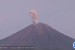 Semeru erupsi lagi, tinggi letusan hingga 1.000 meter