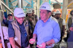 Mentan: Beras SPHP ukuran 2 kilogram tahap desain kemasan