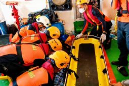 SAR evakuasi penumpang kapal darurat medis di perairan Bintan