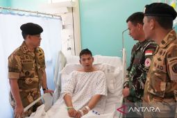 Dilema Indonesia dalam menjaga misi perdamaian dunia