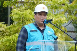 PLN percepat program Lisdes ABT terangi desa di Kalteng
