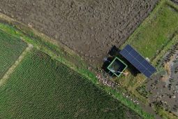 Antisipasi El Nino di sektor pertanian