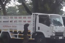 Bupati Lebak terima 34 truk untuk operasional Kopdes Merah Putih